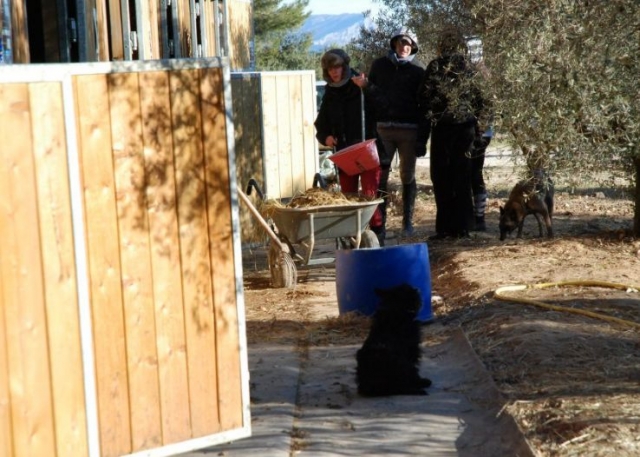 Les ecuries du Haras des Oliviers